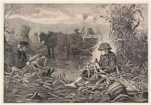 Image description is not available for 2012.036